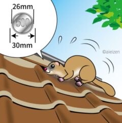 屋根裏の害獣