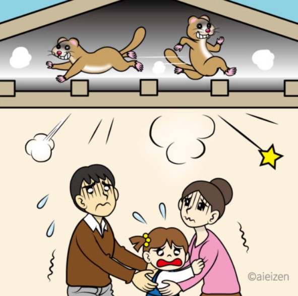 イタチ駆除
