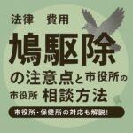鳩駆除の注意点と市役所への相談方法