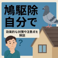 鳩駆除