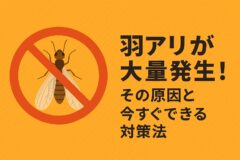 羽アリ 大量発生 原因