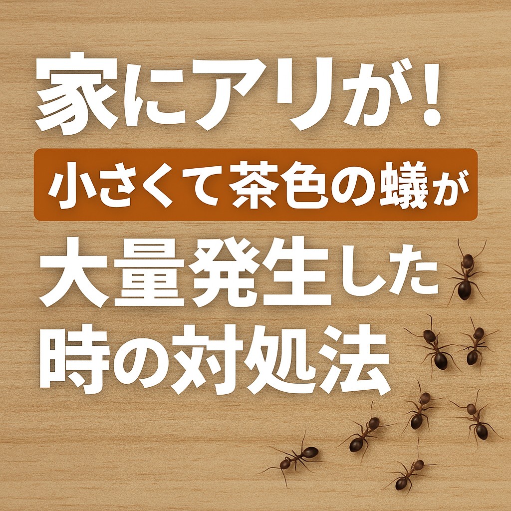 家 アリ 小さい 茶色
