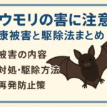 コウモリ 害
