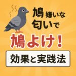 鳩駆除