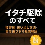 イタチ駆除のすべて｜被害例から追い出し方法・業者選びまで徹底解説
