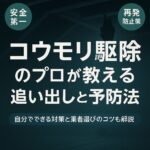 コウモリ駆除のプロが教える追い出しと予防法
