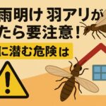 梅雨明けで羽アリが出たら要注意！家に潜む危険とは