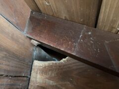 害獣駆除　芦屋町