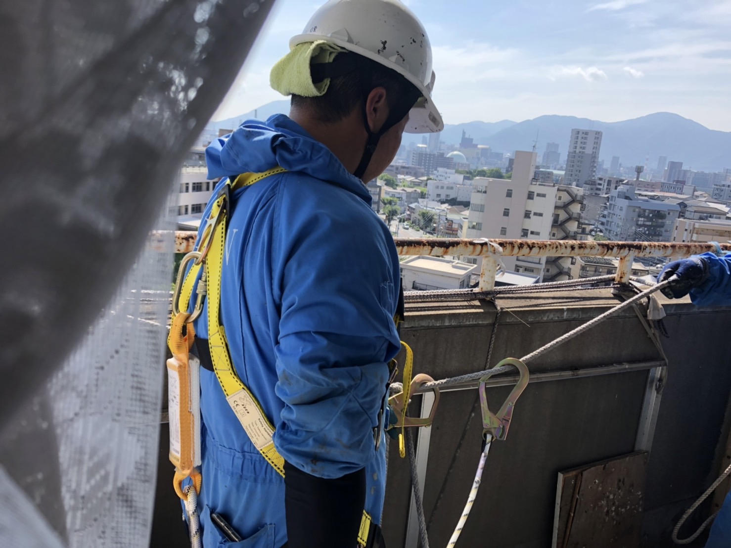 ハト 店 古賀市