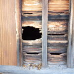 害獣駆除 新宮町