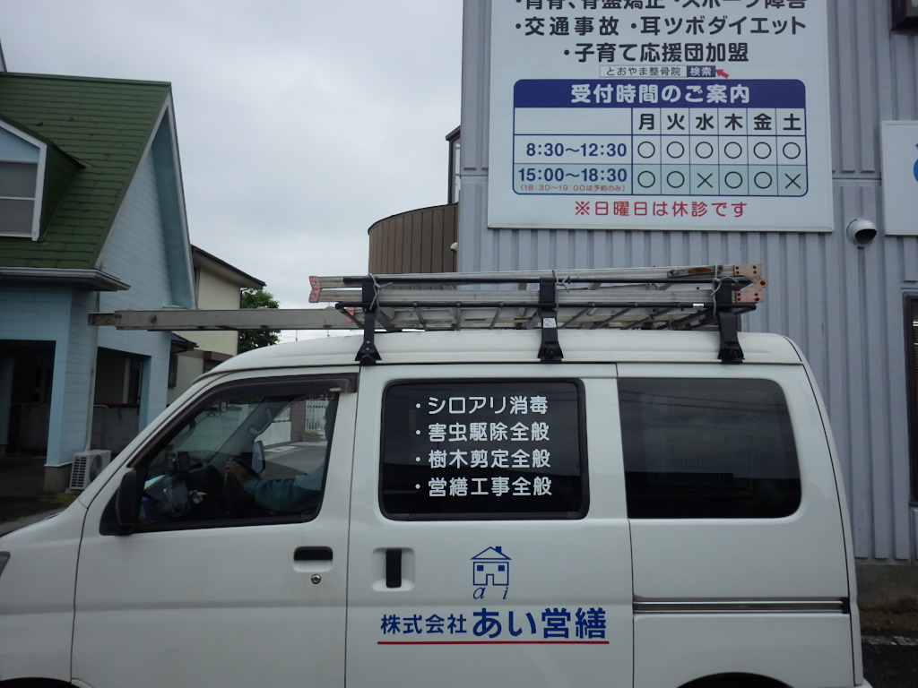 アライグマ駆除　若宮市