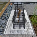 イタチ被害 宮若市