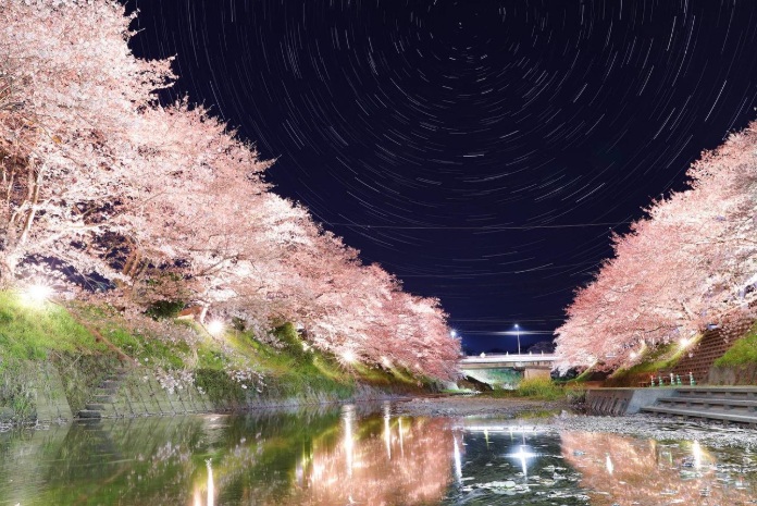 ムカデ駆除　美祢市