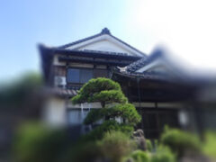 アライグマ駆除　料金