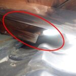 アライグマ駆除　料金