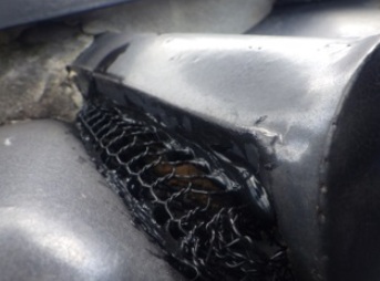 アライグマ駆除 宗像市