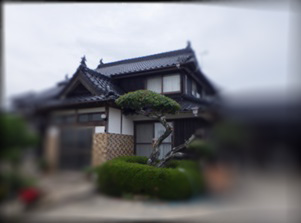 イタチ駆除　朝倉郡