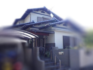 イタチ駆除　太宰府市