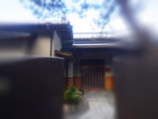 イタチ駆除　福津市