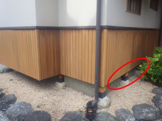 イタチ駆除　福津市
