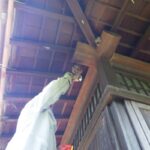 ハチ駆除　料金