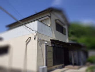 アライグマ駆除　行橋市