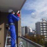 【八幡東区】鳩駆除の事例紹介と料金相場