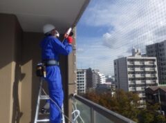 鳩駆除　料金　八幡東区