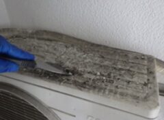 鳩駆除　門司区　料金