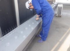 鳩駆除　八幡西区　料金