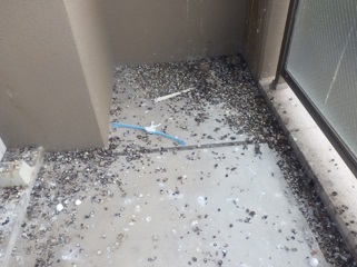 鳩駆除 料金