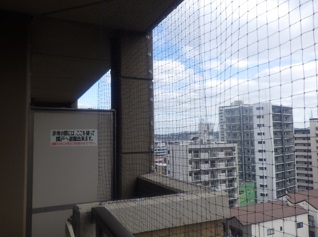 鳩駆除 料金