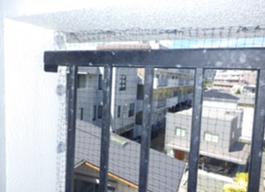 鳩駆除 門司区 料金