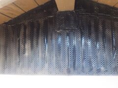 コウモリ駆除　福岡市東区