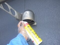 コウモリ駆除　日田市