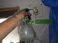 コウモリ駆除　日田市