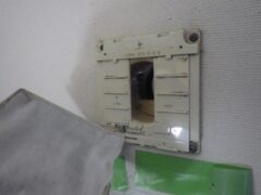 コウモリ駆除　日田市