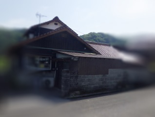 イタチ駆除　中津市