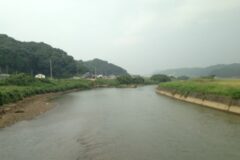 コウモリ駆除　嘉穂郡