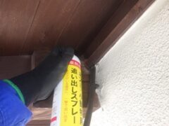 コウモリ駆除　嘉麻市