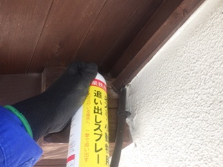 コウモリ駆除 嘉麻市