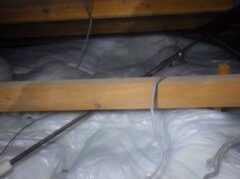 イタチ駆除　嘉麻市