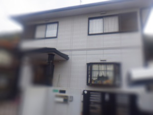 シロアリ駆除　料金