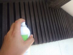 コウモリ駆除　小倉南区