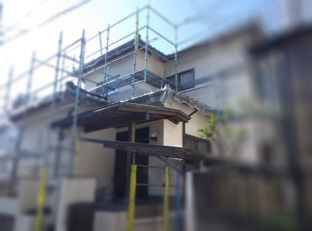コウモリ駆除　料金