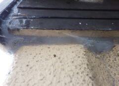 コウモリ駆除　料金