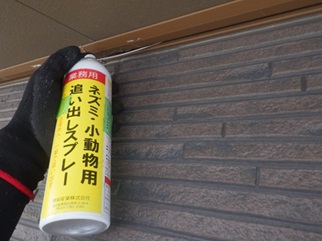 コウモリ駆除　朝倉郡