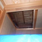 【築上郡】コウモリ駆除の事例紹介と料金、費用相場について