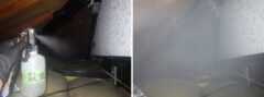 コウモリ駆除　美祢市