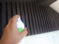 コウモリ駆除　若宮市